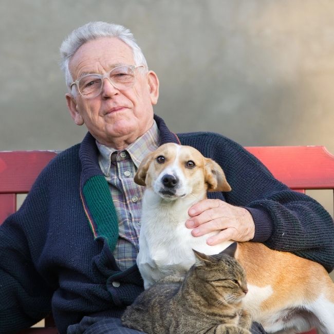 Elderly man with dog and cat
